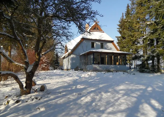 Gepflegtes Reetdachhaus Auf Grossem Grundstueck Mit Badewanne Und Terrasse 別荘
